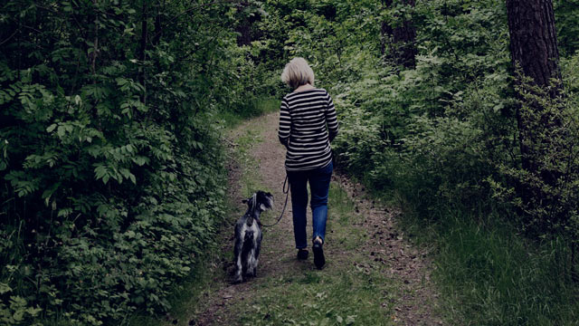 senior woman walking dog small overlay