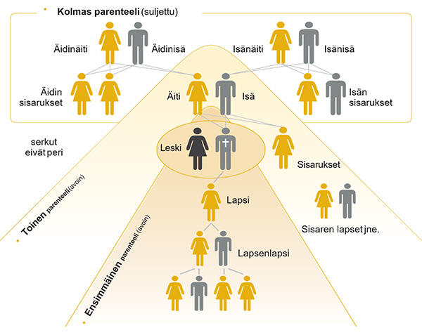Perimysjärjestys