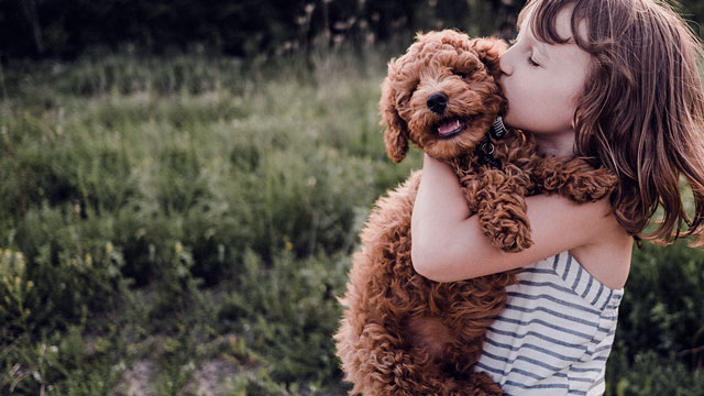 Girl hugging brown dog.