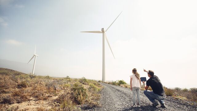 Dad showing girl windmills - Small