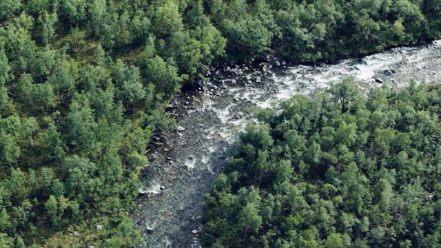 Lake in Nordic forest - small